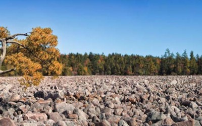 Boulder Field