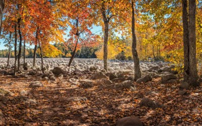 Autumn Boulder Field