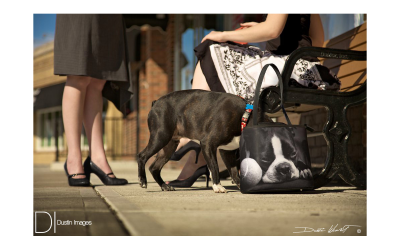 Head in Purse…Head on Purse