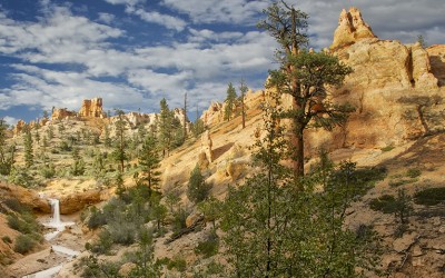 Mossy Cave Trail