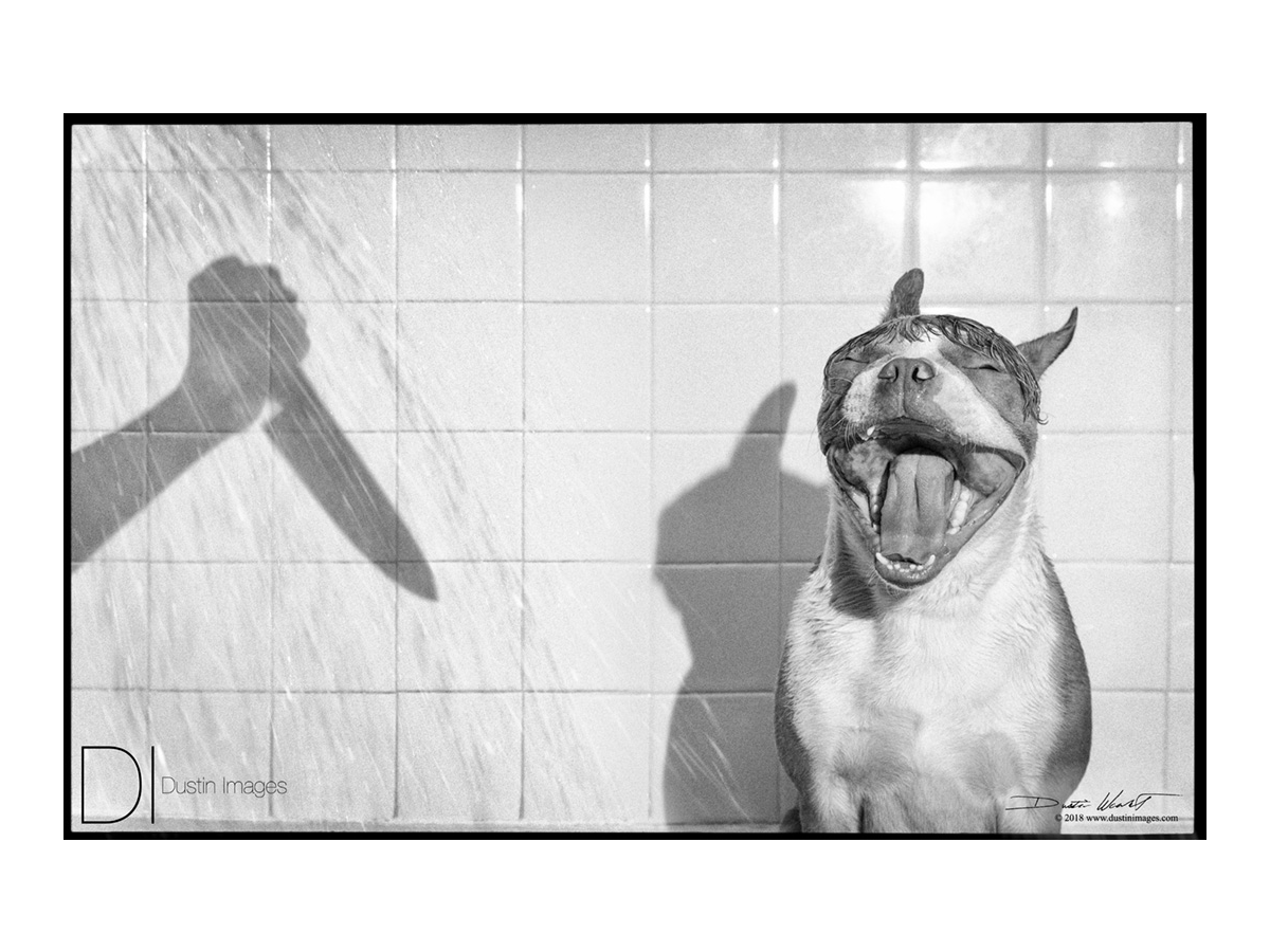 OBiE_Psycho_Shower_MG_5752_website_RE