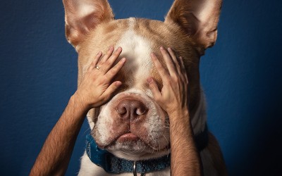 See no evil