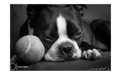 Tennisball Love